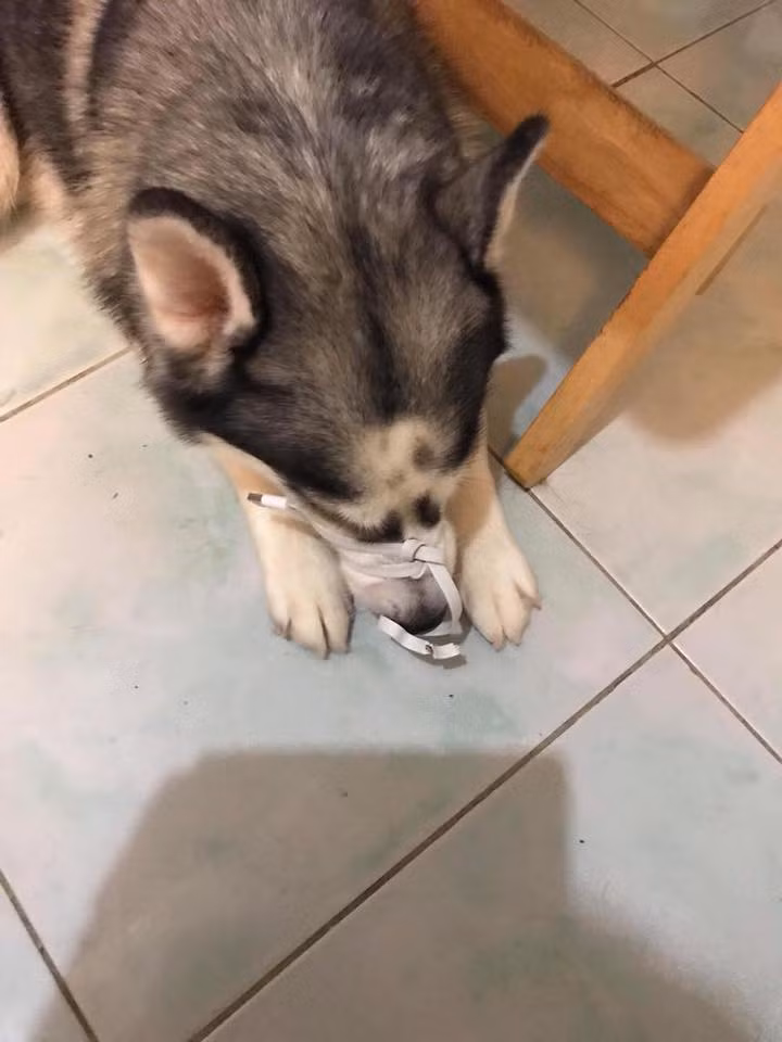 Những hình phạt thích đáng cho việc phá nhà, phá cửa của các boss cũng được các con sen áp dụng để dằn mặt và cảnh cáo.