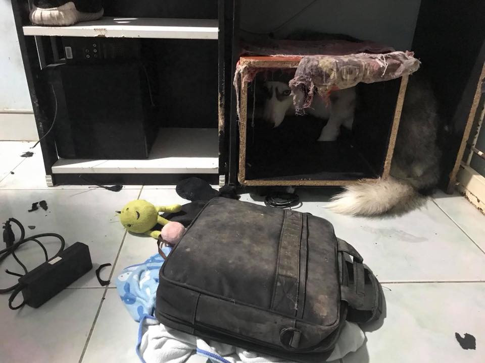 Nickname Minh Chí chia sẻ: " Do hồi bé không dậy kĩ. Rồi nuôi mấy đứa với nhau chúng nó càng quậy. Con nhà mình dậy kĩ từ nhỏ ngoan ghê lắm. Tranh mình vẽ để dưới đất đi còn nhón chân vòng vòng qua hoặc không dám đi qua luôn. Chỉ là tờ giấy thôi đấy còn giấy bình thường vẫn đi qua".