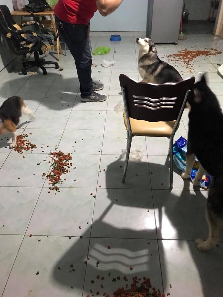 Bên cạnh đó, nhiều dân mạng cũng chia sẻ cảm xúc khi chứng kiến những cảnh này sau một ngày đi làm về mệt mỏi sẽ ra sao?