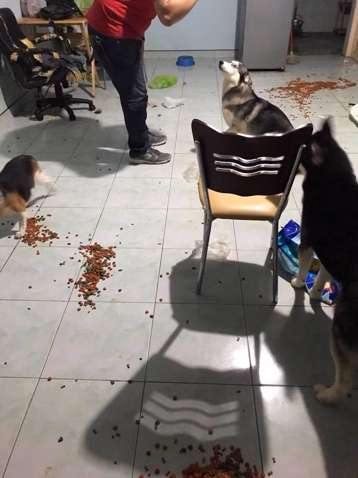 Bên cạnh đó, nhiều dân mạng cũng chia sẻ cảm xúc khi chứng kiến những cảnh này sau một ngày đi làm về mệt mỏi sẽ ra sao?