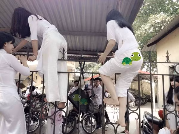 Còn đâu áo dài thướt tha bay trong gió, các "thánh nữ" đã quyết tâm vượt rào để vào trường.