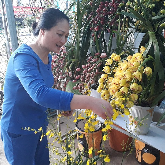 Vườn lan của bà Lời thu hút nhiều khách đến tham quan, chọn mua cho mình những giò lan mà mình yêu thích