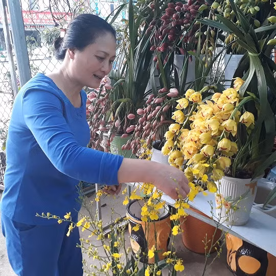 Vườn lan của bà Lời thu hút nhiều khách đến tham quan, chọn mua cho mình những giò lan mà mình yêu thích