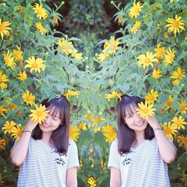 Đặc biệt vào tháng 11, Đà Lạt cũng khô ráo hơn, nắng đẹp, buổi tối trời chỉ se se lạnh là điều kiện lý tưởng nhất để bạn có thể trải nghiệm những địa danh nổi tiếng nơi đây.