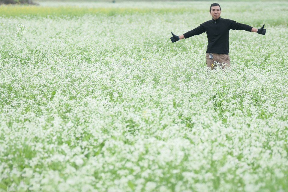 Cải trắng đầu đông trên cao nguyên Mộc Châu là địa điểm nhiều bạn trẻ lựa chọn để du lịch.