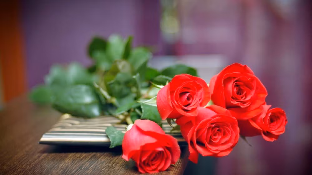 Phụ nữ có tâm hồn đẹp như hoa vậy một bó hoa tươi sẽ khiến họ trở nên rực rỡ hơn trong ngày Quốc tế phụ nữ.