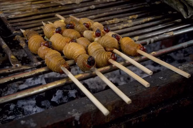 Cameroon: Palm weevil (Đuông dừa) là ấu trùng của một loại bọ cánh cứng sống bên trong cây dừa. Đặc sản địa phương này được xem là một món ăn rất bổ dưỡng. Ảnh: Pxhidalgo/iStock.