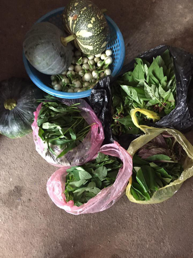 Mỗi lần nhận thùng đồ quê, lại thấy thương hơn bố mẹ tần tảo thế mà có bao nhiêu lại cũng chỉ chắt chắt, bóp bóp gửi cho con cho cháu mà chẳng dám ăn uống ở nhà.