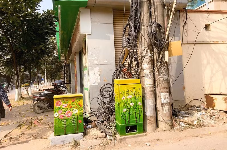 Nội dung chủ yếu của các bức tranh là các loại hoa cỏ mùa xuân.