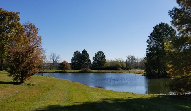 Hồ nước nhỏ ngập tràn cây xanh và ánh nắng.