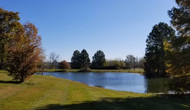 Hồ nước nhỏ ngập tràn cây xanh và ánh nắng.