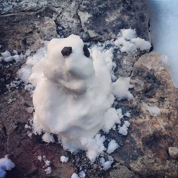 Hãy quay về với hành tinh của người tuyết đi chứ còn ở lại làm gì.