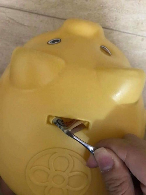 Nuôi lợn đất đúng là vui thật nhưng đôi lúc chính chúng ta phải đấu tranh giữa việc bỏ tiền vào heo hay để để tiêu xài luôn.