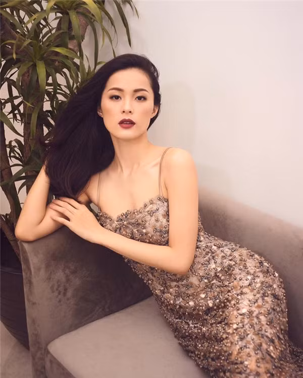 Năm 2016 được đánh giá là một năm mà tên tuổi của Hạ Vi được NHM cả nước chú ý tới rất nhiều. Bắt đầu là mối tình nổi tiếng với đại gia phố Núi Cường Đô La và sau đó là phim điện ảnh "Tấm Cám - Chuyện chưa kể".