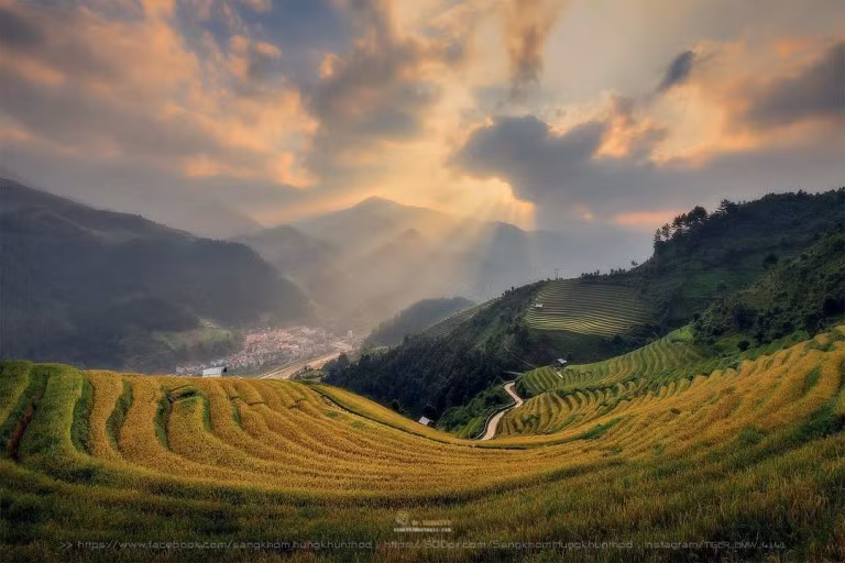 Cảnh tượng ngút ngàn của các thung lũng lúa vào mùa vàng mới đã làm say đắm biết bao người mê xê dịch, đặc biệt là ở La Pán Tẩn, Chế Cu Nha và Dế Xu Phình. Ảnh: @tiger_bmw_4141.