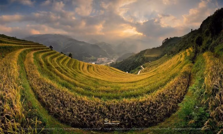 Cuối thu, khắp thung lũng Mù Cang Chải thơm hương lúa chín với những cung ruộng bậc thang tựa như những thảm vàng ươm dệt lên khung cảnh hoang dã, yên bình của mảnh đất nơi này. Ảnh: @tiger_bmw_4141.