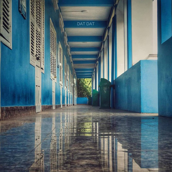 Trước kia, trường ĐH Thủ Dầu Một cũng từng gây sốt trên MXH khi sở hữu giàn hoa giấy khổng lồ nhuộm hồng cả một góc trời.