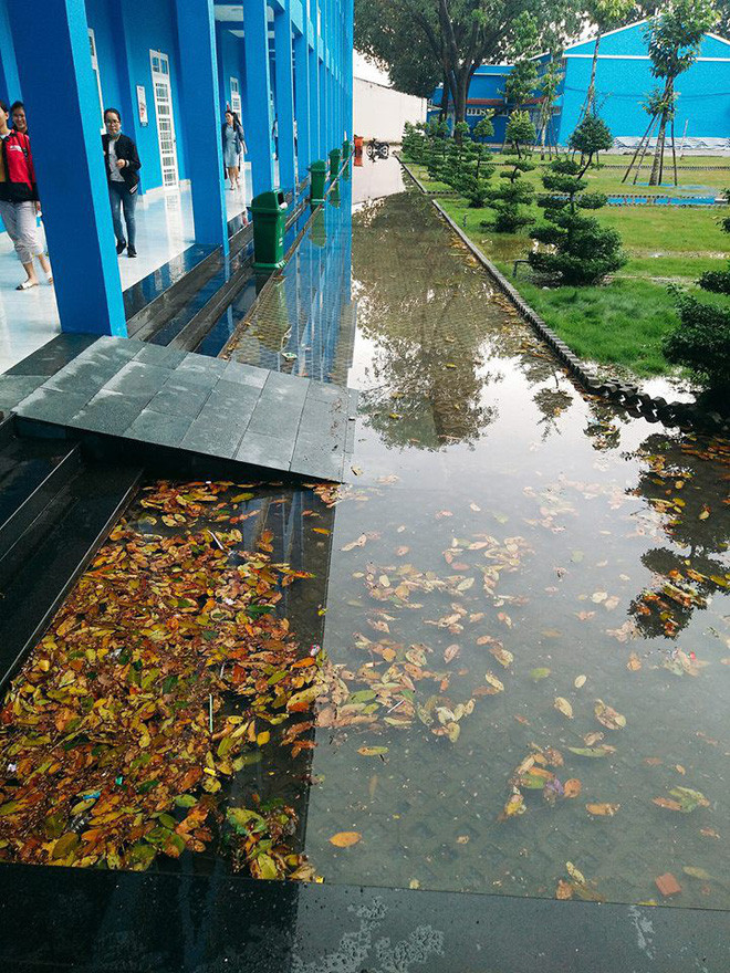 Những dãy hành lang xanh màu da trời thả bóng xuống mặt nước tạo nên hiệu ứng vô cùng lạ.