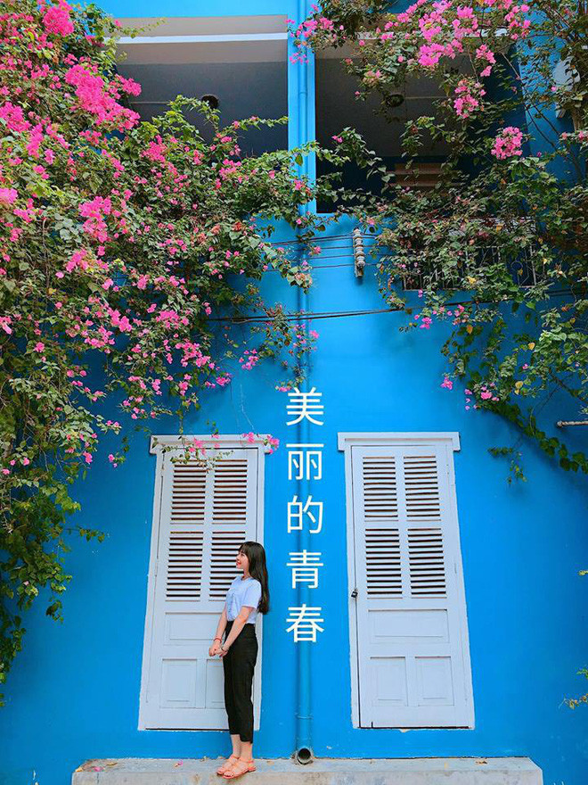 Nhiều dân mạng còn ca ngợi rằng: "Mỗi góc trong ngôi trường này đều có thể làm background cứ đứng vào là có bức ảnh sống ảo cực chất".