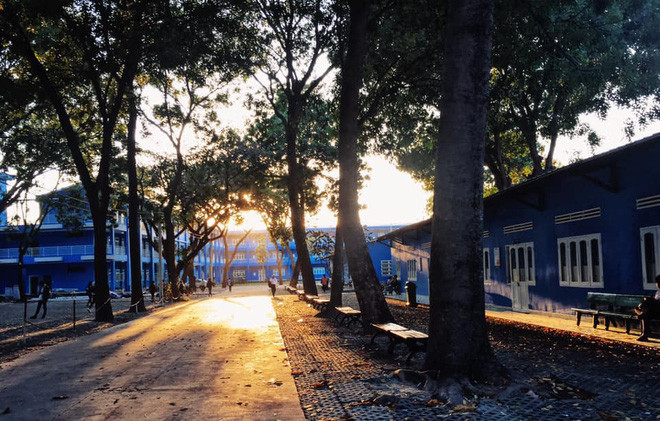 Dưới ánh nắng của buổi hoàng hôn, trường ĐH Thủ Dầu Một đẹp như một bức tranh tình.