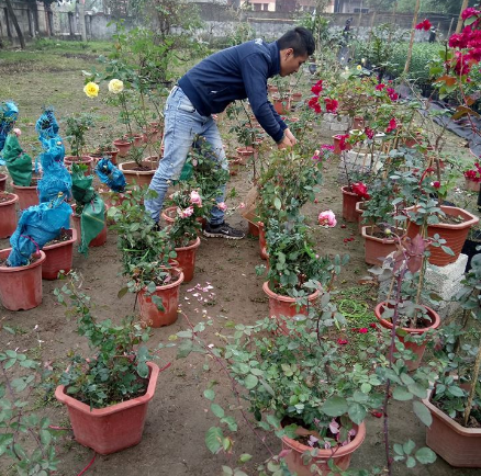 Chia sẻ về 2 bức ảnh cây hoa hồng cổ mà anh hào hứng chia sẻ trên facebook cá nhân dẫn đến sự việc bị hiểu lầm là "kẻ ăn trộm", anh Nguyên nói: "Mình có người bạn tên Quý, nhà trên Mộc Châu là bạn lâu năm. Nhà bạn ấy cũng có loài hoa hồng đã già lâu năm, mẹ bạn ấy chuẩn bị phất cành để bỏ đi, thấy tiếc nên vì mình xin về để trồng tiếp.