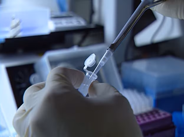 Kết quả phân tích DNA cho thấy Sandra là người đã dùng nước bọt của cô để dán phong bì. Khi xem lại hồ sơ y khoa, cảnh sát phát hiện thêm một điểm bất thường. Bác sĩ kết luận vết thương trên đầu của Sandra không thể do chân ngựa gây nên.