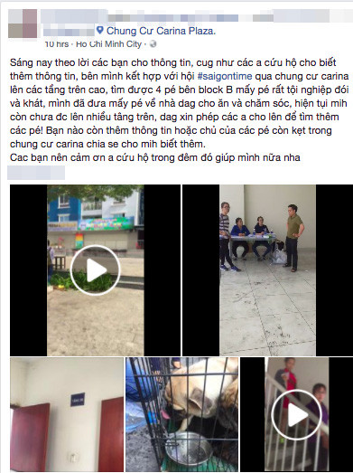 Hình ảnh những chú chó được nhóm bạn trẻ cứu trong vụ cháy chung cư Carina vừa qua.