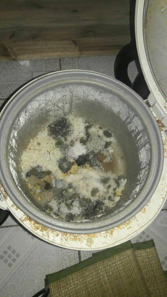 Nồi cơm như này ai mà dám thò tay vào rửa? Nhưng để có cái ăn tiếp theo thì nhắm mắt để kì cọ nó thôi....