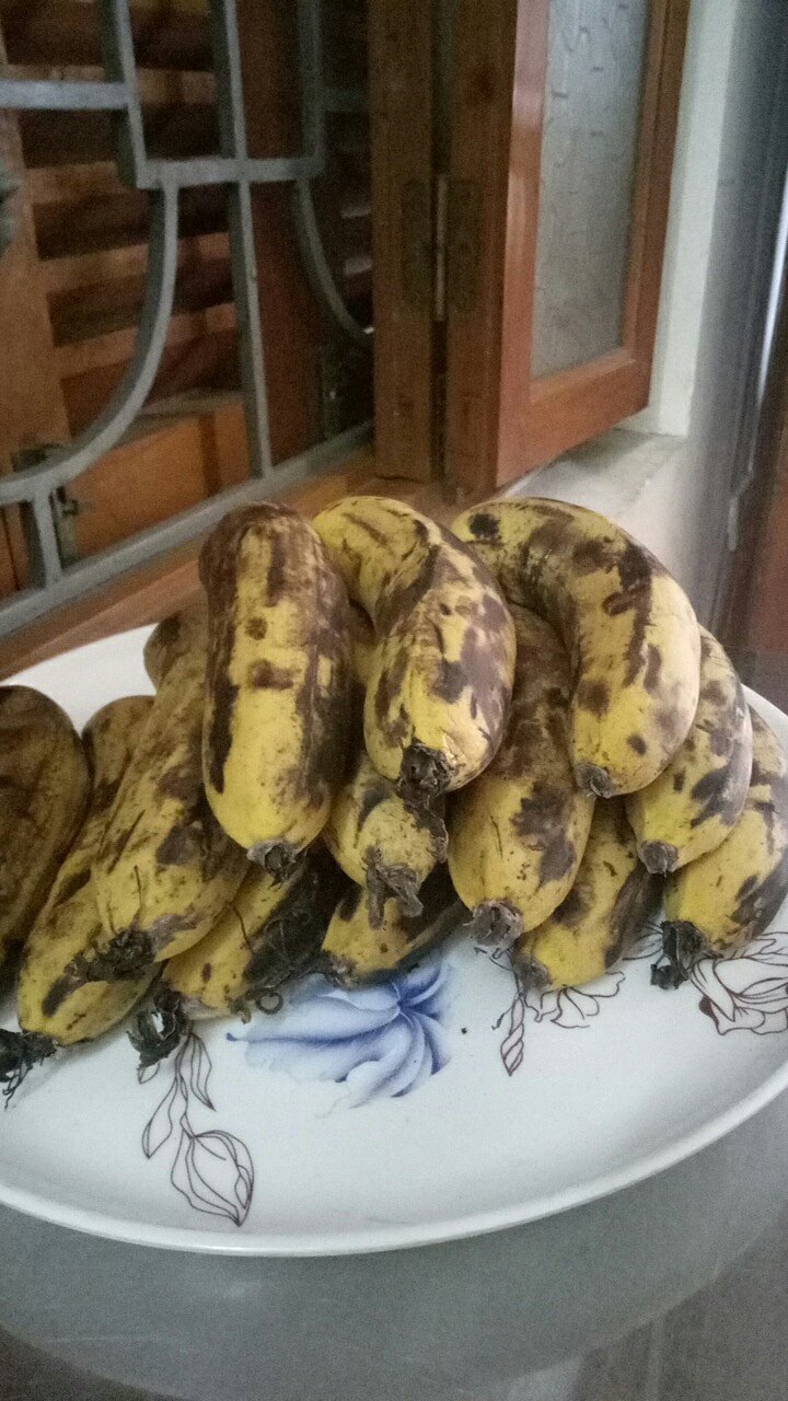 Nải chuối thắp hương Táo quân nhưng chưa kịp chia lộc đã phải về quê nên cũng không còn ngon lành.