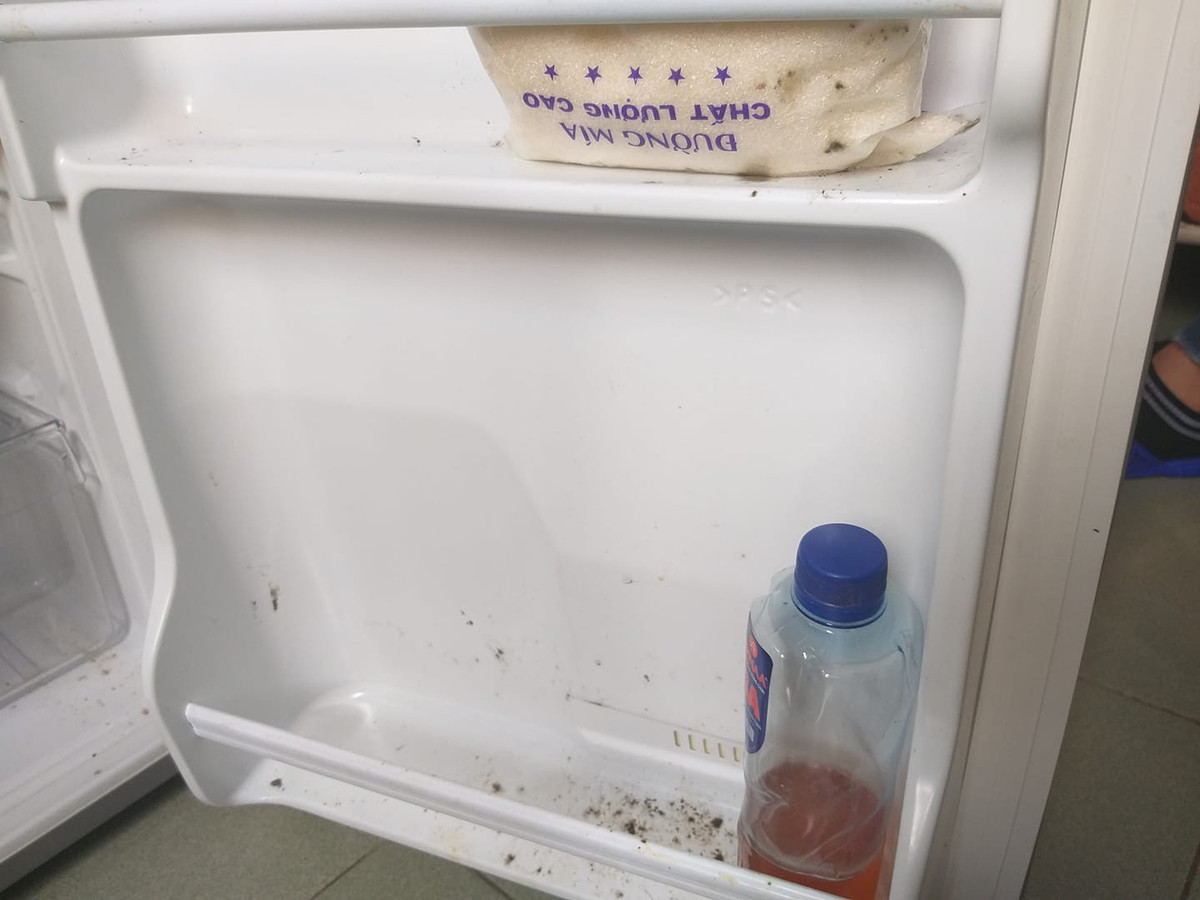 Vì lo sợ tốn tiền điện mà nhiều bạn sinh viên cẩn thận trước Tết đã rút tủ lạnh để về quê cho an tâm nhưng hậu quả thì khôn lường.