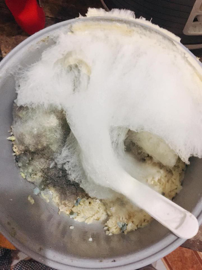 Sau hơn nửa tháng nghỉ Tết, các bạn sinh viên quay trở lại Hà Nội để chuẩn bị bước vào những ngày học đầu Xuân. Vui chưa thấy đâu nhưng họ đã phải đối mặt với nỗi ám ảnh phòng trọ lạnh tanh và những nồi thức ăn bỏ quên mốc meo đủ kiểu.