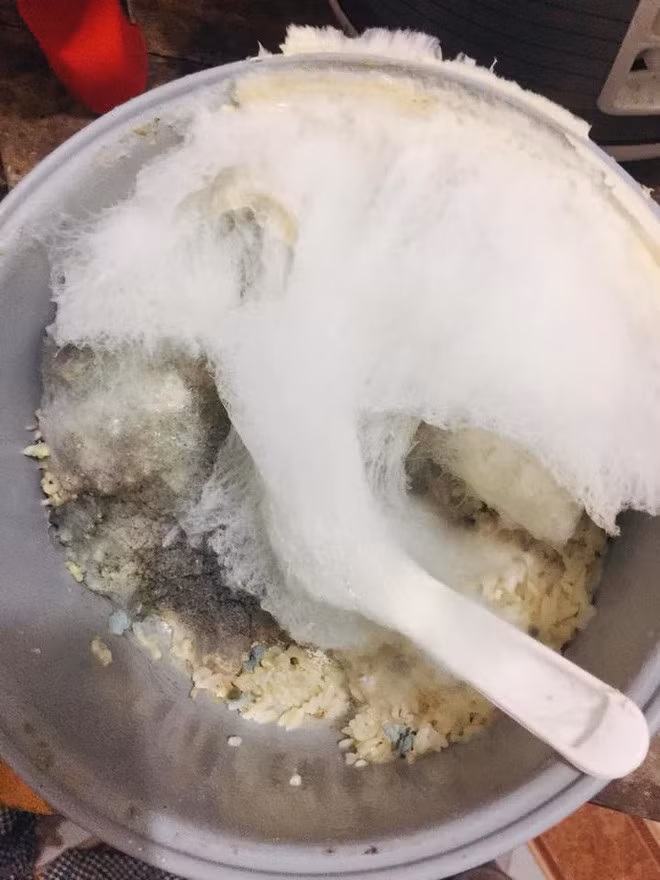 Het Tet, sinh vien phat hoang voi noi com dien moc meo am anh