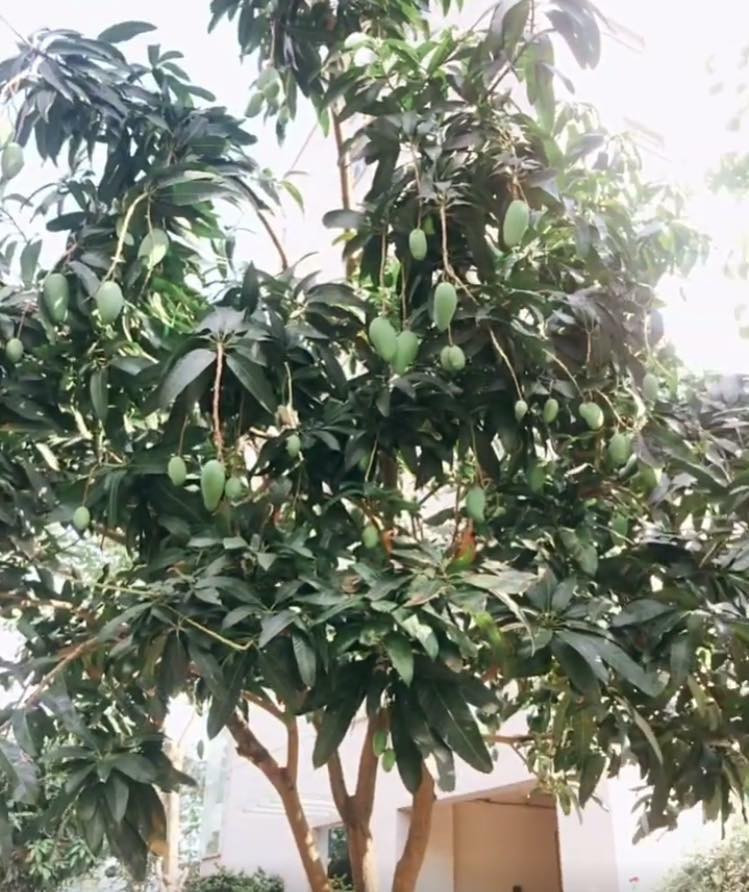 Được biết bảng tin dễ thương này nằm trong khuôn viên trường THPT Trần Phú, xã Đức Thủy, huyện Đức Thọ, tỉnh Hà Tĩnh. Chủ nhân bức ảnh cho hay thông báo này xuất hiện cách đây 2 năm và gắn với kỉ niệm mùa kỉ yếu.