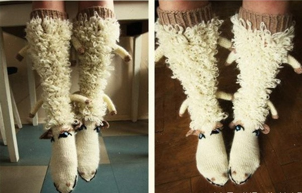 "Không phải cừu đâu, đây là đôi tất của một người rất yêu động vật"