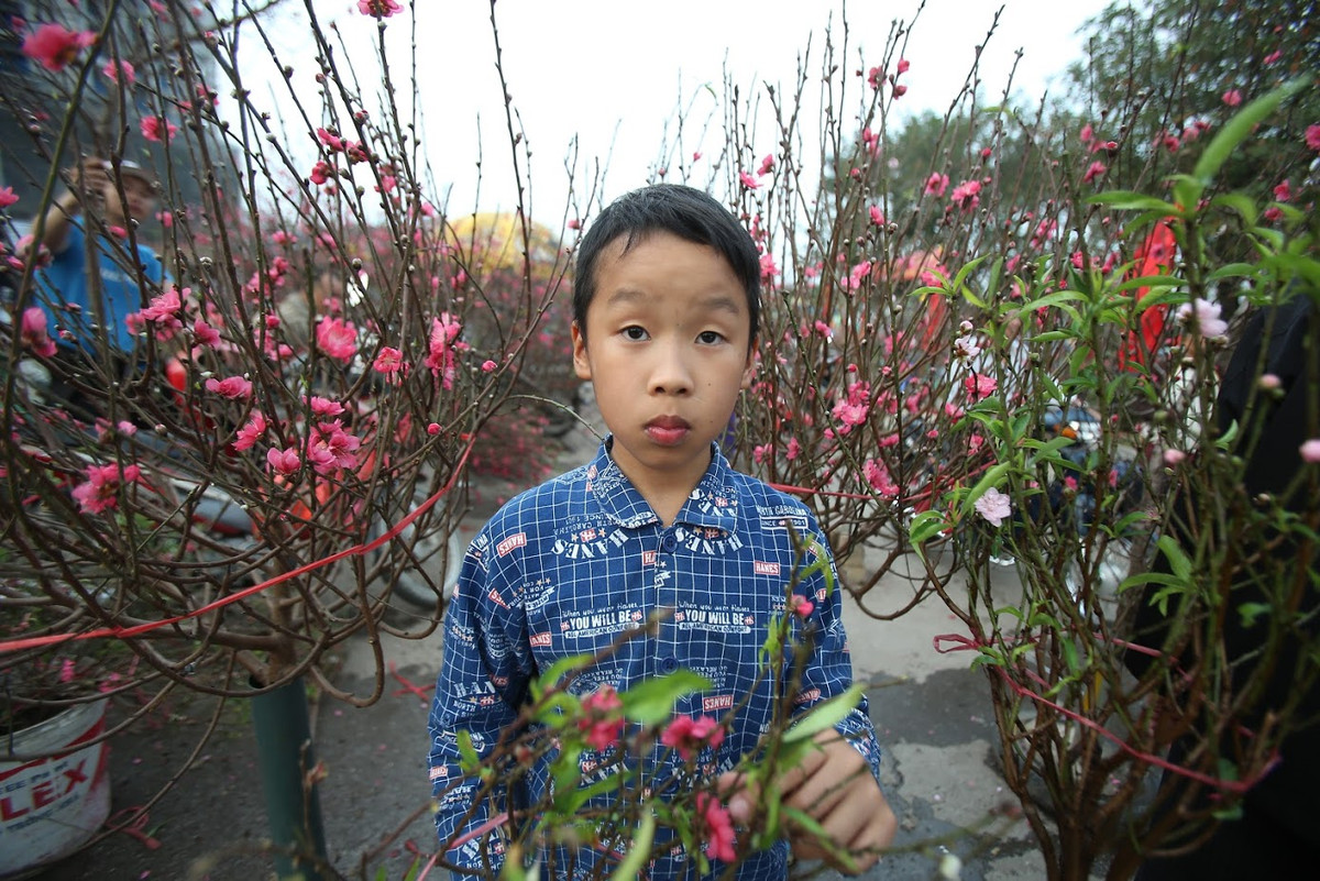 Ở một góc khác tại khu vực vườn hoa Lạc Long Quân, chợ hoa đã vãn người so với trước đó một ngày.