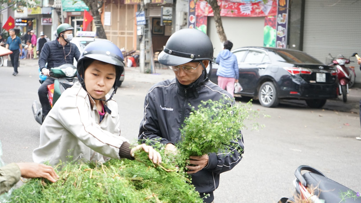 Trong khi đó, lá mùi là điều không thể thiếu trong mỗi gia đình chiều 30 Tết để có nồi nước tắm Tất niên.