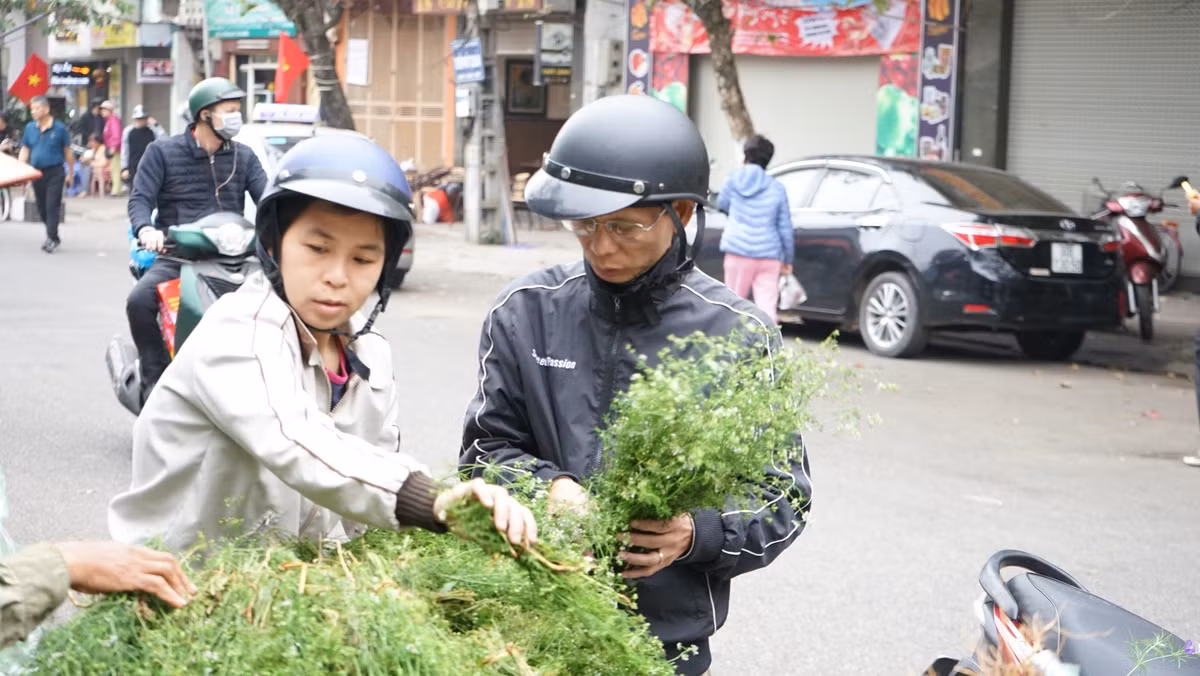 Trong khi đó, lá mùi là điều không thể thiếu trong mỗi gia đình chiều 30 Tết để có nồi nước tắm Tất niên.