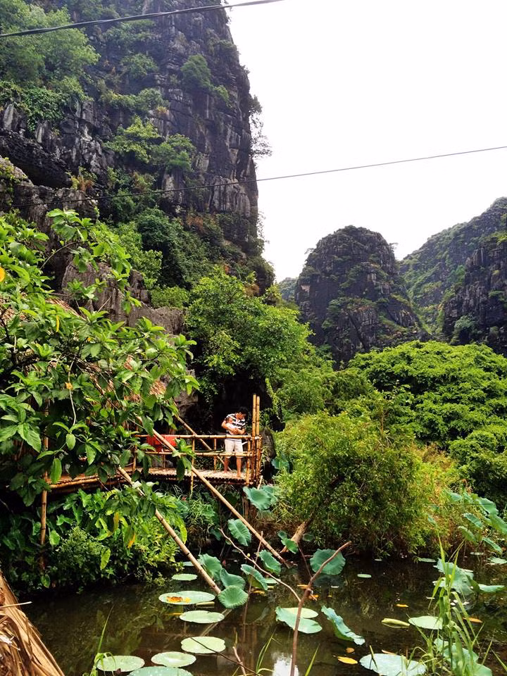 Qua view từ phòng nhìn ra thấy xung quanh mênh mông đượm màu xanh, sắc hồng của hồ sen, hương sen nhè nhẹ khiến ai cũng thấy dễ chịu, khoan khoái.