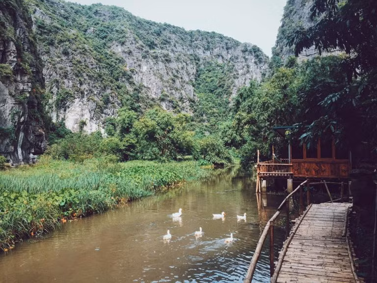 Nằm giữa đầm sen thơ mộng với không gian thoáng đãng, thiên nhiên trong lành, mát mẻ, Chez Beo xứng đáng là một nơi thư giãn hoàn hảo cho bạn “đi trốn” sau một tuần làm việc căng thẳng.