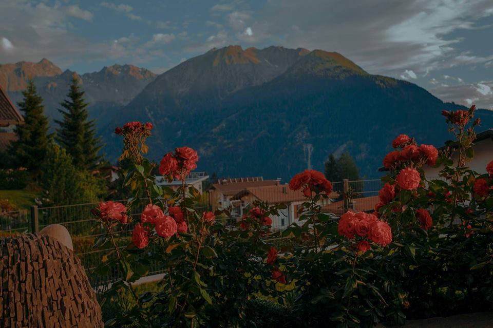 Người xem được chứng kiến từng góc nhỏ của châu Âu theo cách tinh tế. Đó là khoảnh khắc một chú chim bay ngang trời, một cái ghế, một nhành hoa dại ven đường hay một người đàn ông đạp xe băng qua phố... Tất cả đều giản dị, đáng yêu và mang lại cảm giác dễ chịu.