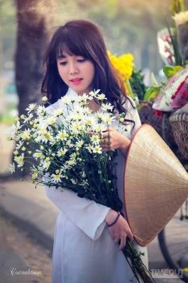 Trong cái nắng nhẹ nhàng của những ngày đầu đông, các cô thiếu nữ mặc áo dài trắng tay đeo chiếc nón, tay ẵm bó hoa cúc họa mi khiến nhiều người phải siêu lòng đứng lại ngắm nhìn.