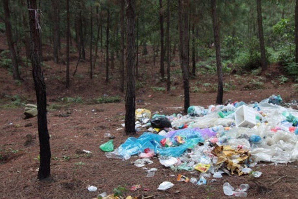 Chứng kiến những bức ảnh xả rác của phượt thủ, nickname H.A bức xúc bày tỏ: "Thật đúng là con sâu làm rầu nồi canh, toàn người thiếu ý thức làm ảnh hưởng đến hình ảnh của phượt thủ chân chính".