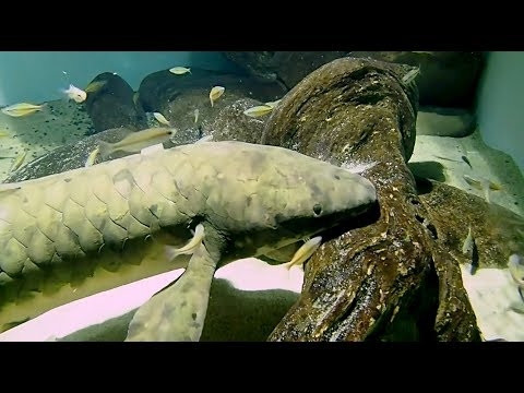 Bi quyet song lau cua 