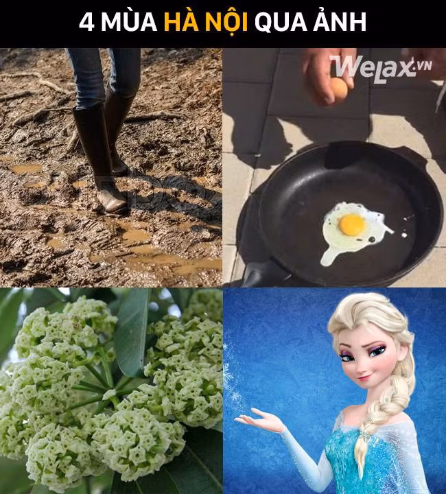 Một năm thường sẽ có 4 mùa gồm Xuân - Hạ -Thu - Đông Nhưng mà không, hãy đổi lại là Nồm - Hạ - Thu - Đông mới đúng.