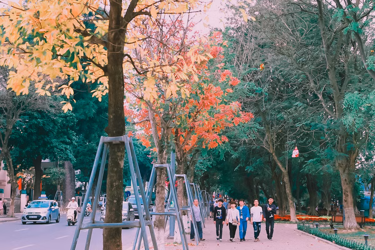 Trên phố đi bộ Hồ Gươm dòng người thong thả dạo phố và nhặt từng chiếc lá vàng và đỏ để chụp ảnh.