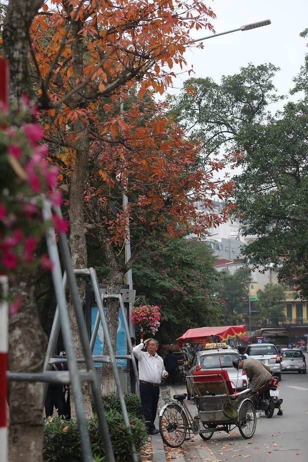 Vàng vàng, xanh xanh, đỏ đỏ, của mùa thay lá đã hòa quyện hoàn hảo với màu trời xanh biếc, dù đôi chút hơi mù.