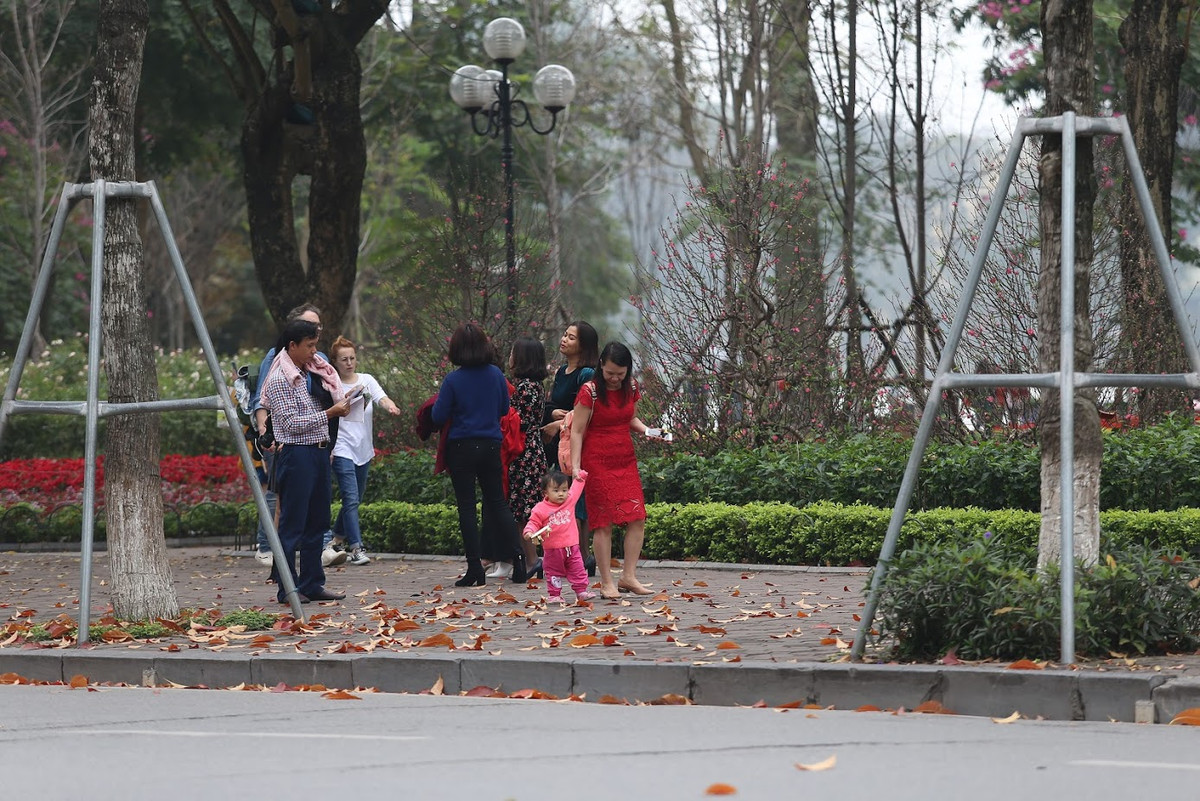 Hà Nội tháng 2, mùa "hợp xướng" của những mảng màu vừa thân quen vừa lạ lẫm. Đúng là chỉ có ở Thủ đô mới đủ chất chứa vào lòng những mùa lá đẹp dịu dàng đến thế.