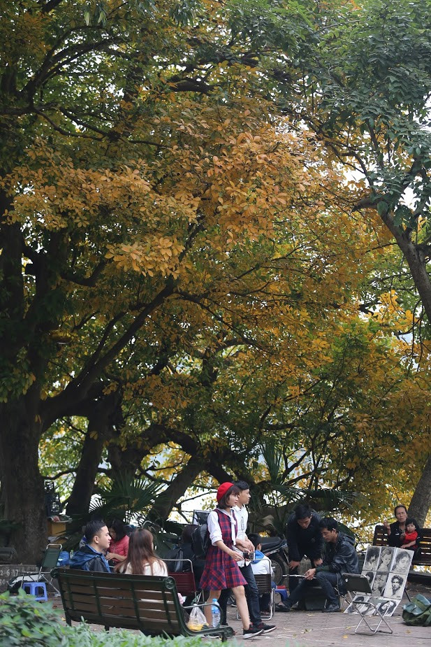 Khung cảnh lãng mạn của mùa thay lá cũng chỉ kéo dài độ một tuần. Sớm thôi, từng chiếc lá sẽ rụng xuống, nhường chỗ cho những nụ mầm xanh tươi mơn mởn khác, đánh dấu thời khắc giao mùa của đất trời.