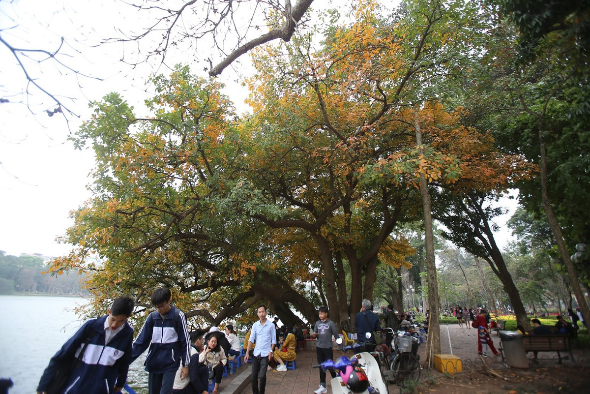 lặng lẽ tấp vào lề đường Nguyễn Hữu Huân, Trần Phú, Hồ Gươm,... mọi thứ như chậm lại, thư thả và nhẹ nhàng sau những ngày bận rộn chuẩn bị cho Tết Nguyên đán vừa qua.