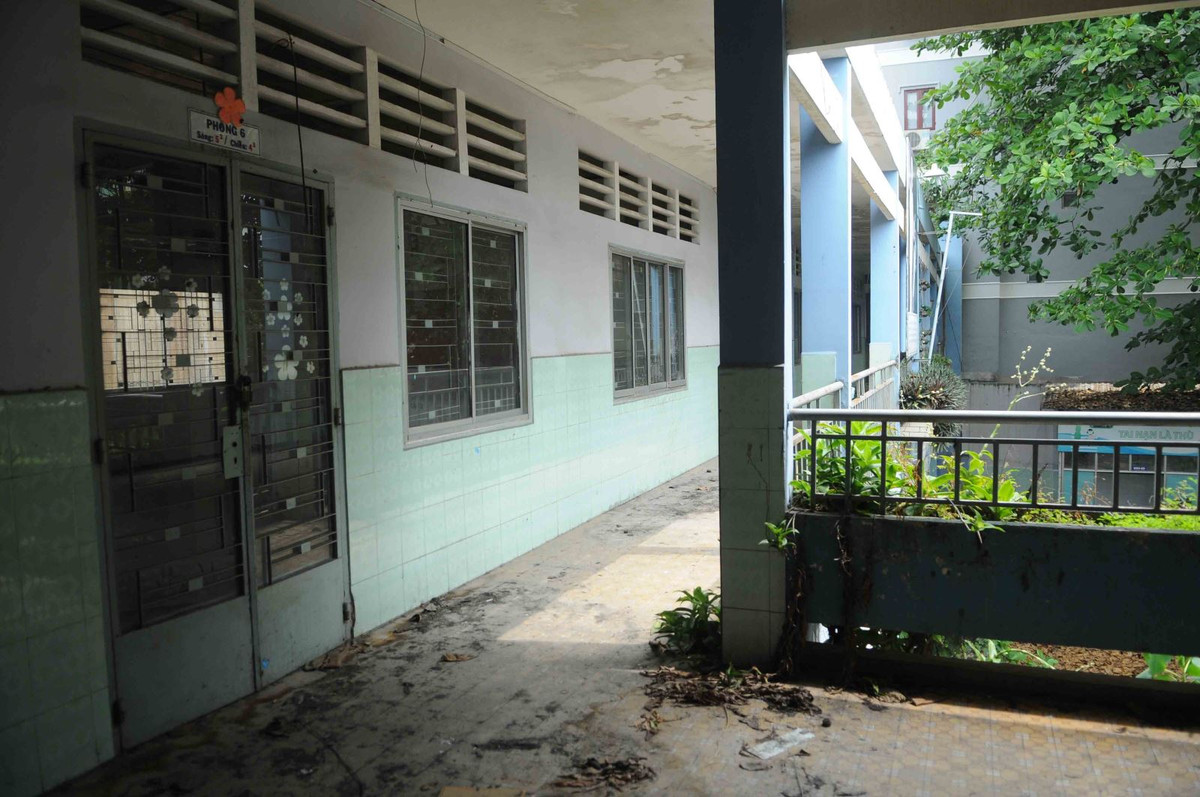 La lung truong tieu hoc giua pho bo hoang 3 nam, co moc um tum-Hinh-11